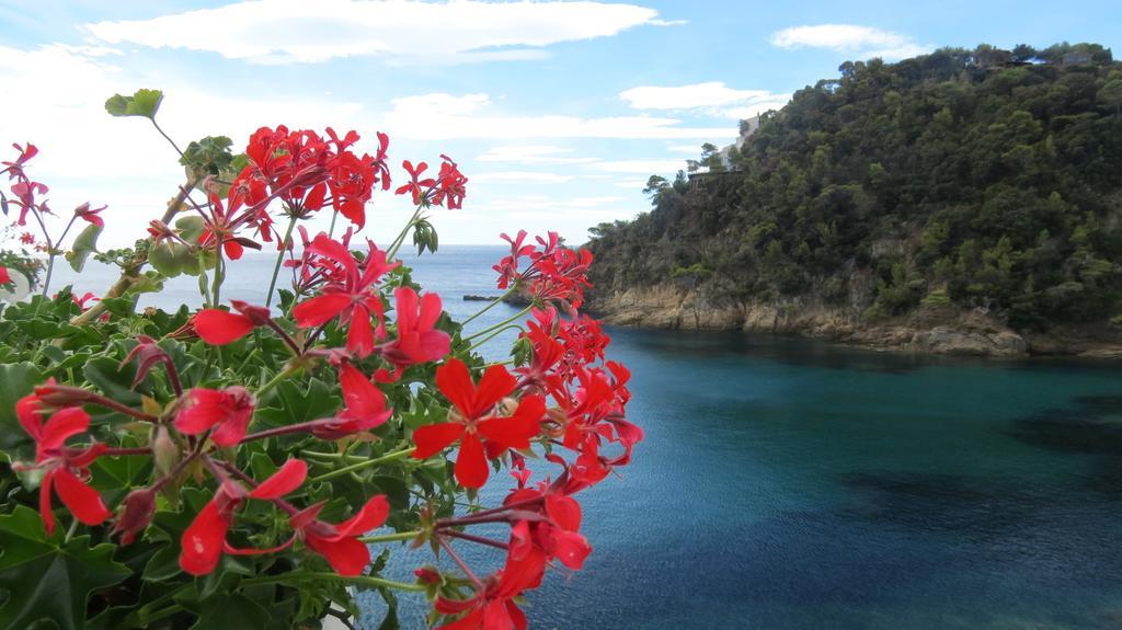 Hotel La Calanque Cavalaire-sur-Mer Eksteriør billede